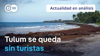 🟣 How crime and bad decisions emptied Tulum, Mexico's tourist paradise
