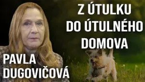 Z útulku do útulného domova - Sloboda zvierat