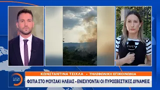 Φωτιά στο Μουζάκι Ηλείας - Ενισχύονται οι πυροσβεστικές δυνάμεις