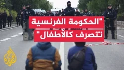 Political Analyst: Banning Protests in France Is a Violation of a Constitutional Right