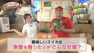 Quiz from a Watermelon Field at the Peak of Harvest: "Saturday Info Blast!" ◆ 2-Choice Showdown: ...