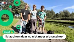 Children on the dogs that died in Schiedam: 'I find it very scary'