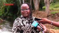 Public anxiety as Karinga bridge risks being swept away by water
