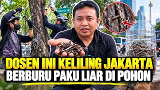 JADI NAIL HUNTER, DOSEN INI KELILING CABUT 1.000 PAKU SEBERAT 4 KG DARI POHON DI JAKARTA