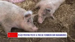 PLĂȚI PENTRU PESTE 6.700 DE FERMIERI DIN MARAMUREȘ