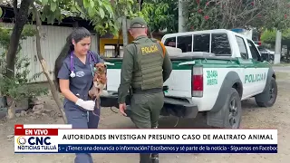 ALLEGED CASE OF ANIMAL CRUELTY