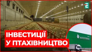 Мільйони в агросектор: Avesterra Group запустила на Волині 20 інноваційних пташників