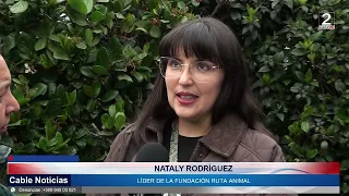 20 AGO 2026 Convenio permite que personas en situación de calle ingresen con sus mascotas a albergue