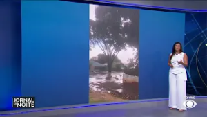 Forte temporal provoca estragos em Maripá, no Paraná