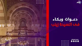 المشيرة الطاهرة العظيمة .. دعوات وبكاء أمام مقام السيدة زينب بعد صلاة الفجر