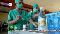 Güira de Melena cooperative commits to transformations in Cuba