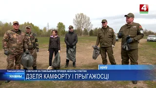 How the Gomel Region is being improved: thousands of trees, new recreation areas, and a major com...