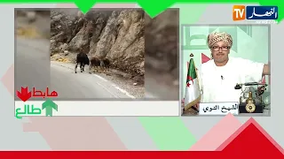 Sheikh Ennawi: There’s no one like Algerians.. Even animals have value to them