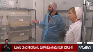 კვების უსაფრთხოების შემოწმება საბავშვო ბაღებში