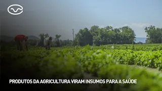 Agricultural products become health supplies