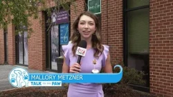 Talk To the Paw: Midstate animal clinic celebrates 70,000 trap, neuter and releases