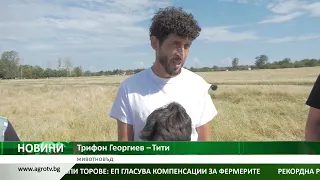 НЕОБИЧАЕН ПОМИНЪК: Отглеждането на магарета среща липса на подкрепа