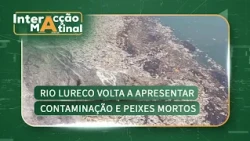 #MorningInteraction: Lureco River shows signs of contamination and dead fish again | @MiramarNews