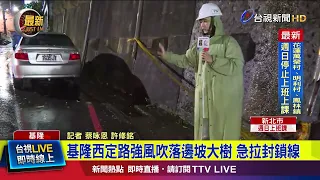 大樹從約2樓高處傾倒墜落 樹枝散落馬路