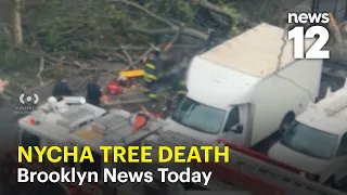 Brooklyn News Today: NYCHA worker remembered after storm death, box cutter robbery