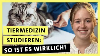 Tiermedizin studieren: Wie hart sind die Prüfungen wirklich? | alpha Uni