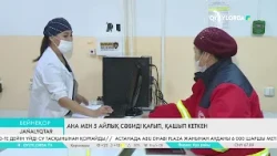 Ана мен 5 айлық сәбиді қағып, қашып кеткен