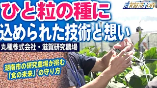 [Corporate Close-up] The Technology and Passion Behind a Single Seed: How a Research Farm in Kona...