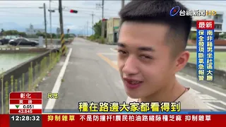 The Narrowest "Sesame Street" Appears Along a Roadside in Xizhou, Changhua: Over 100 Plants Stret...