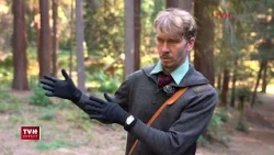 Lesnícke arborétum Kysihýbel - upútavka