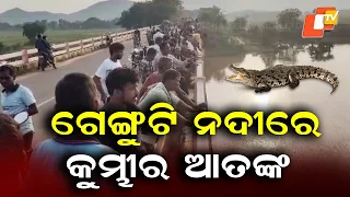 Crocodile Spotted in Genguti River in Jajpur, Locals Alarmed