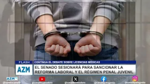 El Senado sesionará para sancionar la reforma laboral y el régimen penal juvenil