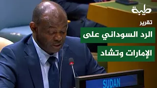Sudan, UAE, and Chad: A Heated Debate in New York | Report