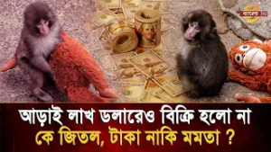 মায়ের শূন্যতা কি টাকা দিয়ে কেনা যায়? কোট টাকার অফারেও পাঞ্চকে ছাড়ল না চিড়িয়াখানা  | Bangla TV