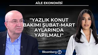Aile Ekonomisi - ''Yazlık konut bakımı şubat-mart aylarında yapılmalı'' | 29 Haziran 2026