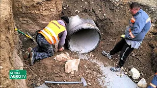 Romsilva investment in the forests of Iași County 07/22/2026