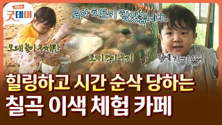 맨날 똑같은 카페 지겹다면? 👀 하루 종일 놀아도 안 질리는 칠곡 체험형 카페🍪🏖️