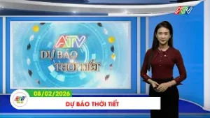 DỰ BÁO THỜI TIẾT, NGÀY 08/01/2026