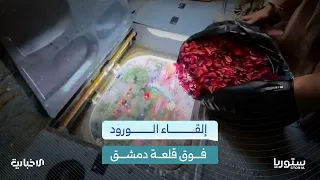 How did the Ministry of Defense's participation in the "Syria Summer" festival come about?
