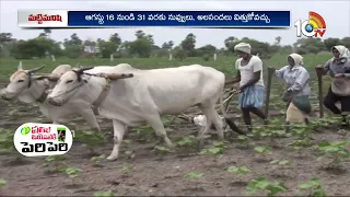 Weather & Climate Forecast For Agriculture | వాతావరణ ఆధారిత వ్యవసాయం |  Matti Manishi | 10TV News
