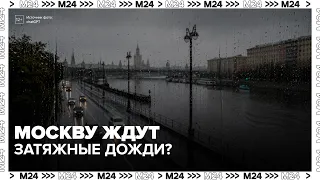 Climatologist explains the trend of increasing prolonged rains in the Moscow region - Moscow 24