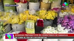 How much does a floral arrangement cost for All Souls' Day in Nicaragua? 💐🇳🇮