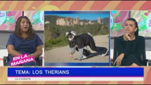 Hablemos de LOS THERIANS con la Lic. Lizmaineth Hernández | En La Mañana