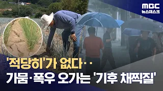 사흘 새 가뭄·폭우 '극단' 오가는 '기후 채찍질'‥원인은 지구온난화 (2026.08.17/뉴스데스크/MBC)