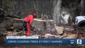 Percy Warner Park cleanup continues after ice storm downed thousands of trees