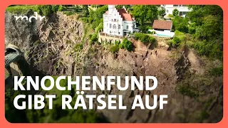 Menschlicher Knochen von vermisster Dresdnerin gefunden | Kripo live | MDR