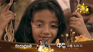 සිලිඳුගේ දරුවන්ට කැලේ හුරු කරනවා