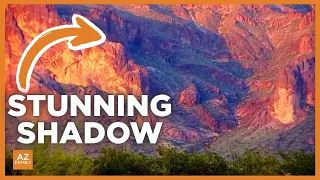 How to see Arizona’s rare cougar shadow