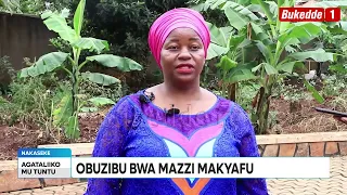 Ttuntu: Amaka agasoba mu 100 gasattira lwa mazzi macaafu  Bandirumbibwa endwadde enkaambwe