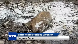 Laguna Seca residents living amidst foul odors