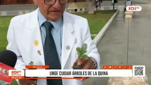 Trujillo: Urge cuidar árboles de la quina